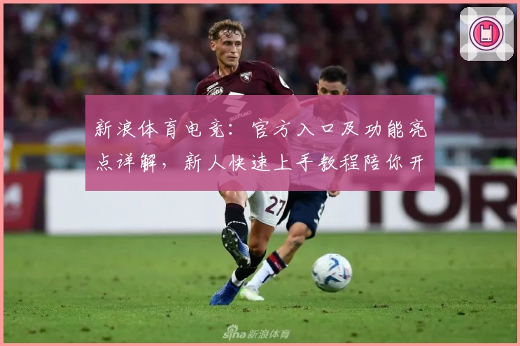 新浪体育电竞：官方入口及功能亮点详解，新人快速上手教程陪你开启热血竞技之旅