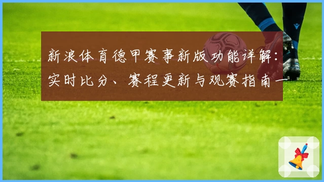 新浪体育德甲赛事新版功能详解：实时比分、赛程更新与观赛指南一应俱全