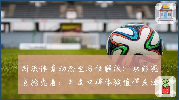 新浪体育动态全方位解读：功能亮点抢先看，年度口碑体验值得关注