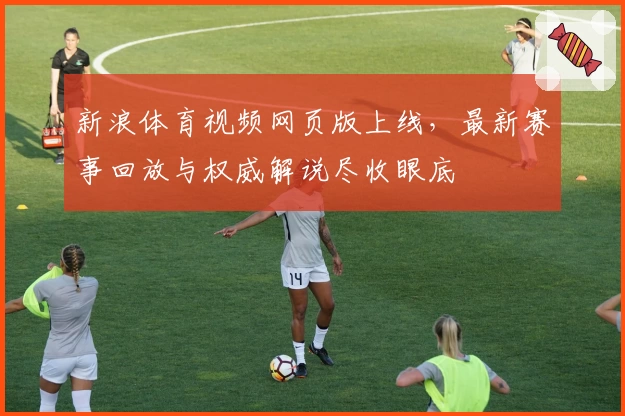 新浪体育视频网页版上线，最新赛事回放与权威解说尽收眼底