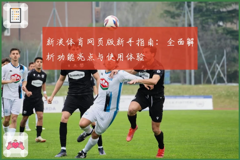 新浪体育网页版新手指南：全面解析功能亮点与使用体验