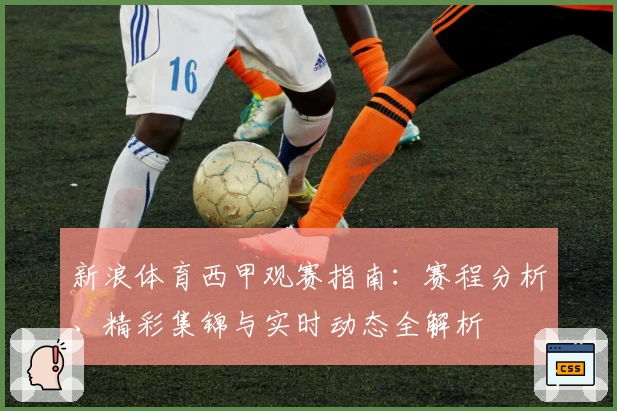 新浪体育西甲观赛指南：赛程分析、精彩集锦与实时动态全解析