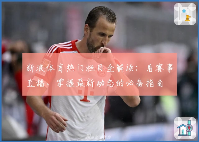 新浪体育热门栏目全解读：看赛事直播、掌握最新动态的必备指南