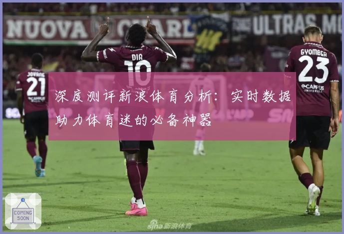 深度测评新浪体育分析：实时数据助力体育迷的必备神器