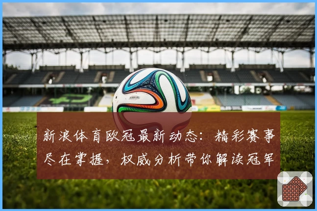 新浪体育欧冠最新动态：精彩赛事尽在掌握，权威分析带你解读冠军之路