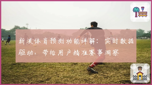 新浪体育预测功能详解：实时数据驱动，带给用户精准赛事洞察