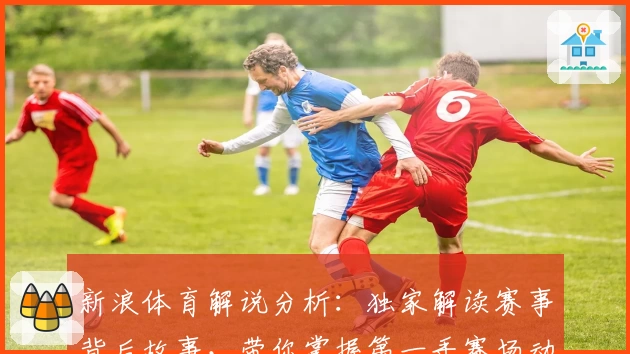 新浪体育解说分析：独家解读赛事背后故事，带你掌握第一手赛场动态